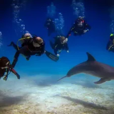 wycieczkihurghada-Nurkowanie-w-Hurghadzie-Nurkowanie-Hurghada-Nurkowanie-Intro-Hurghada-Egipt-kursy-nurkowania-Wycieczka-Nurkowanie-intro-diving-hurghada-wycieczki-hurghada-Nurkowanie -diving