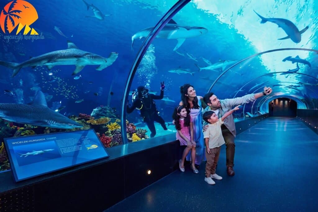 Wielkie Akwarium Hurghada | Grand Aquarium