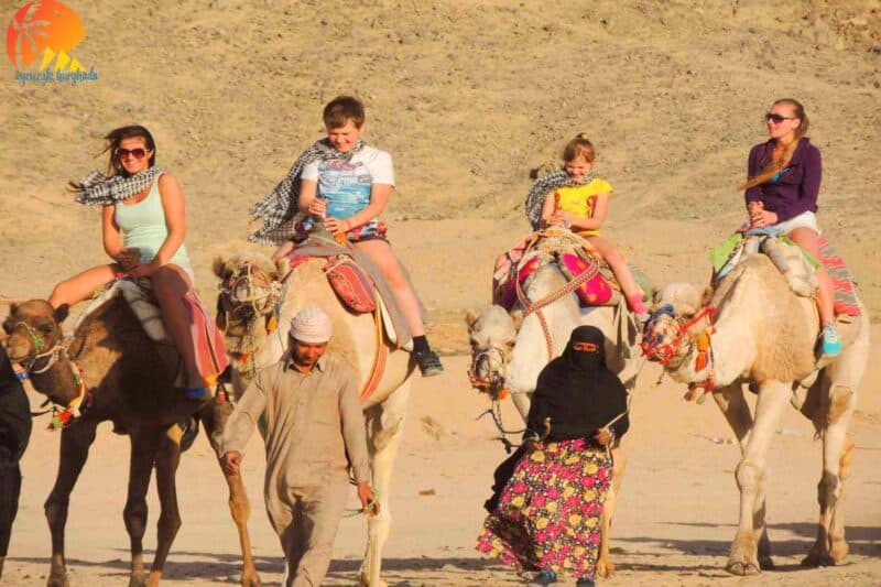 safari hurghada