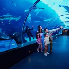 wycieczki-Hurghada-grand-aquarium-Wielkie-Akwarium-Hurghada-Hurghada-Wielkie-Akwarium-cena
