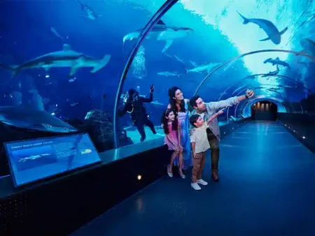 wycieczki-Hurghada-grand-aquarium-Wielkie-Akwarium-Hurghada-Hurghada-Wielkie-Akwarium-cena