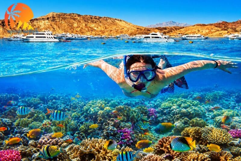 Ras Mohamed i Biała Wyspa łodzią z Sharm El Sheikh