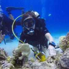 Nurkowanie-w-Sharm-nurkowanie-Ras-Mohamed-nurkowanie-wyspa-Tiran-Sharm-Nurkowanie 