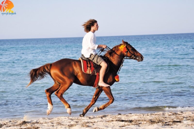 Jazda konna Hurghada– plaża _ pustynia