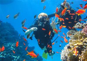 Nurkowanie-Hurghada-diving