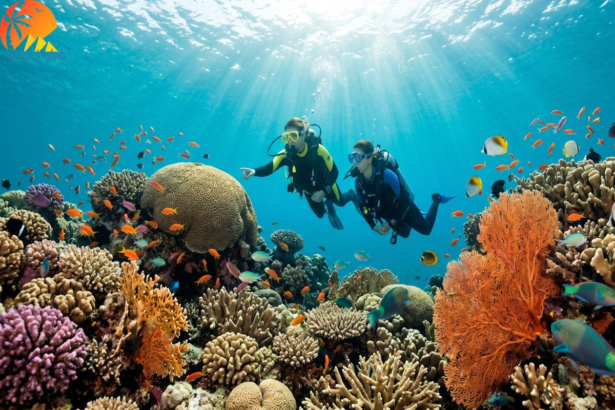Nurkowanie Marsa Alam