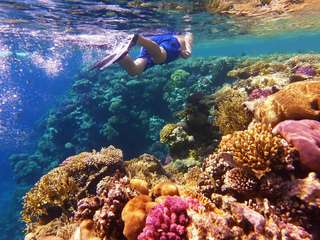 wycieczka-Wyspa-Tiran-sharm-El-Sheikh -snorkeling-i-nurkowanie-Tiran-cena
