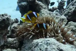 Wycieczki Sharm el sheikh